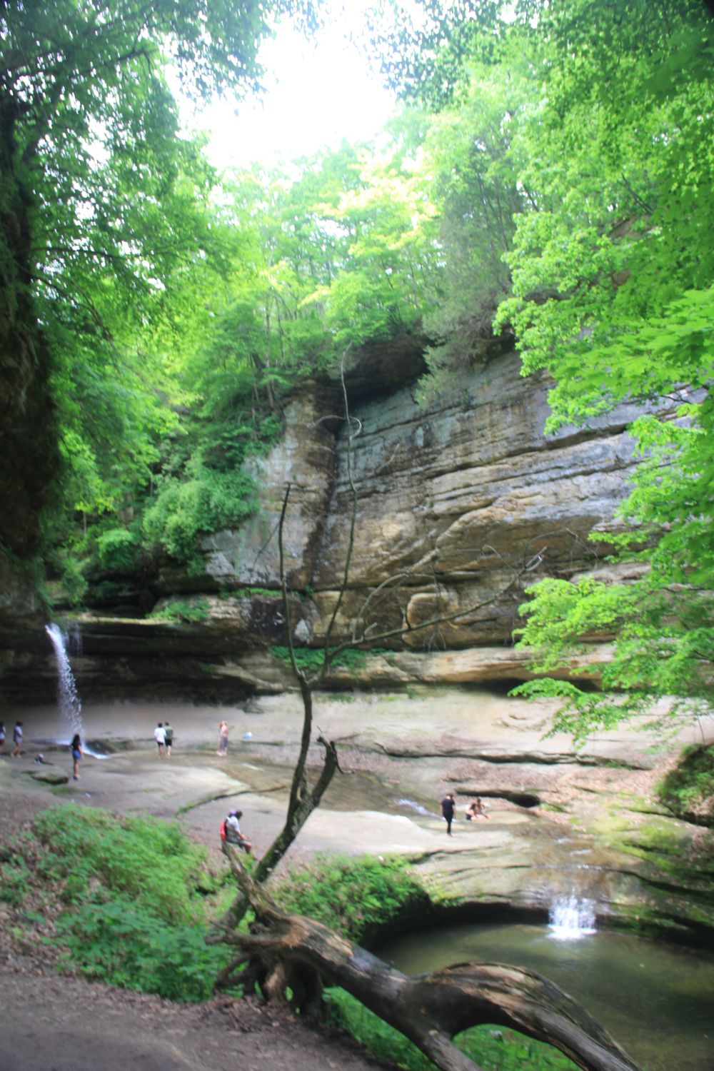 Starved Rock 